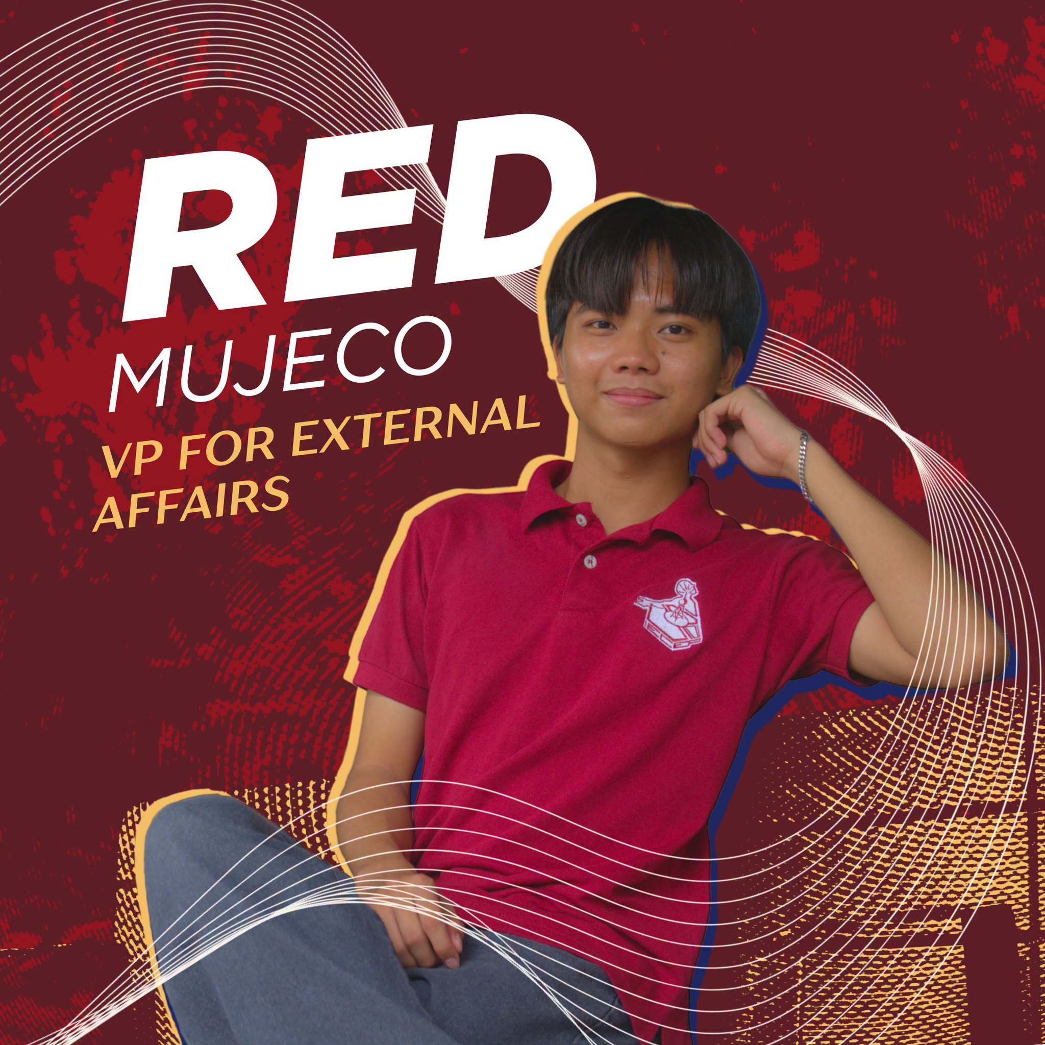 Vice President for External Affairs